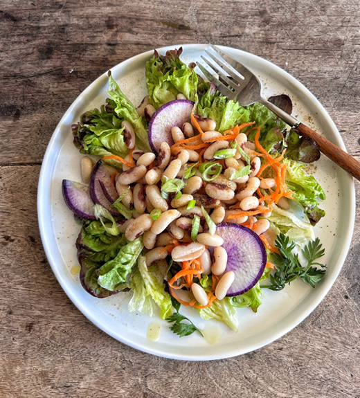SALADE DE HARICOTS SAINT ESPRIT BIOS VARIETTE